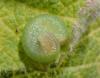 304451 – Photo : Catherine Reymonet-Smitten – France (19)